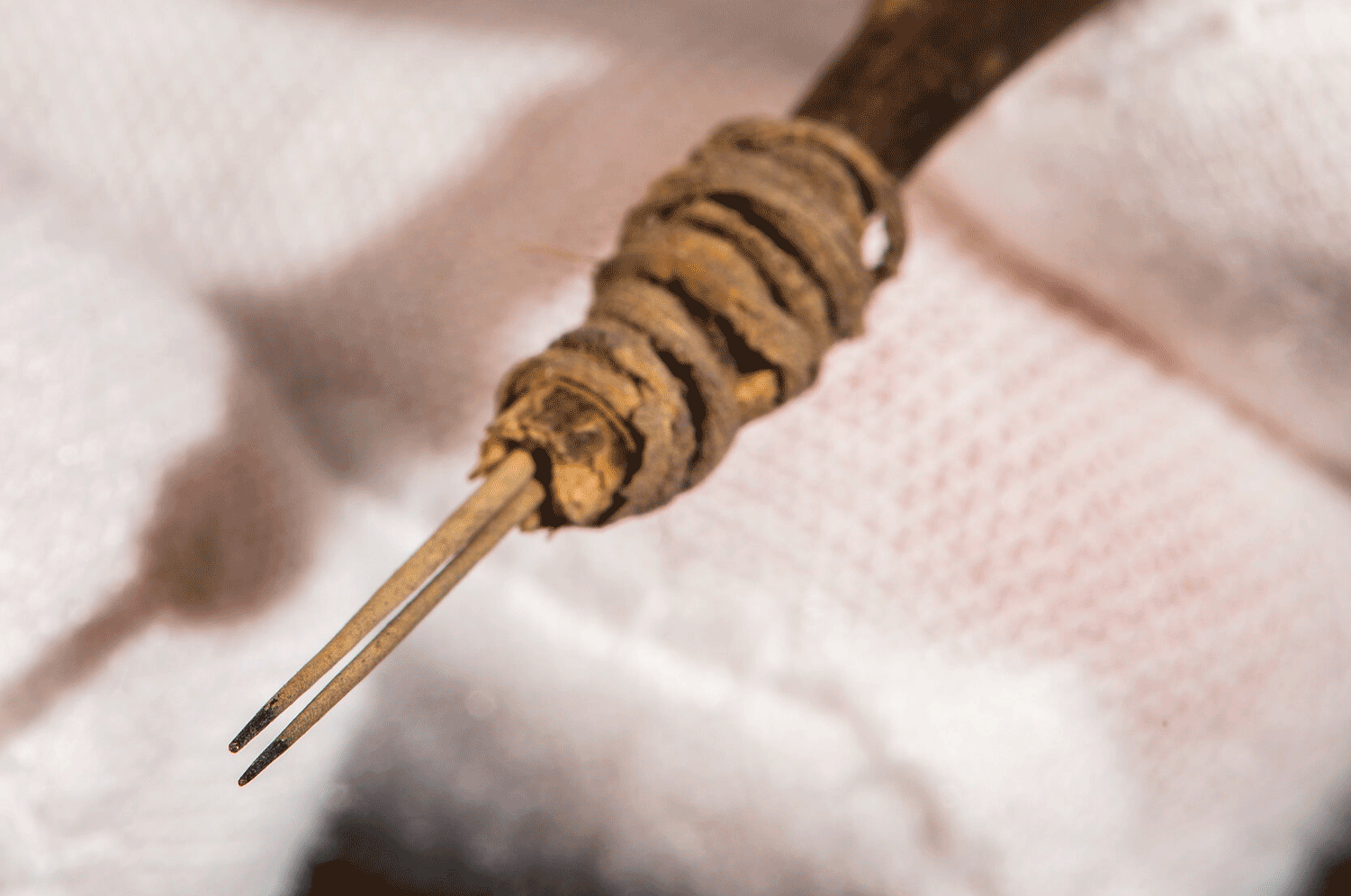 Aaron Deter-Wolf studies ancient North American tattoo tools, such as this one, used by the Pueblo, an ancestral group of southeastern Utah.Credit...Robert Hubner/Washington State University.